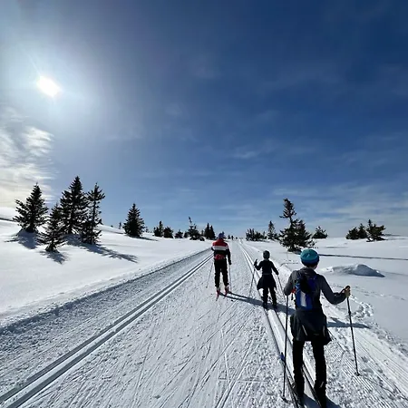 Lägenhet 3 Bedroom Ski&bike Fjellandsby *